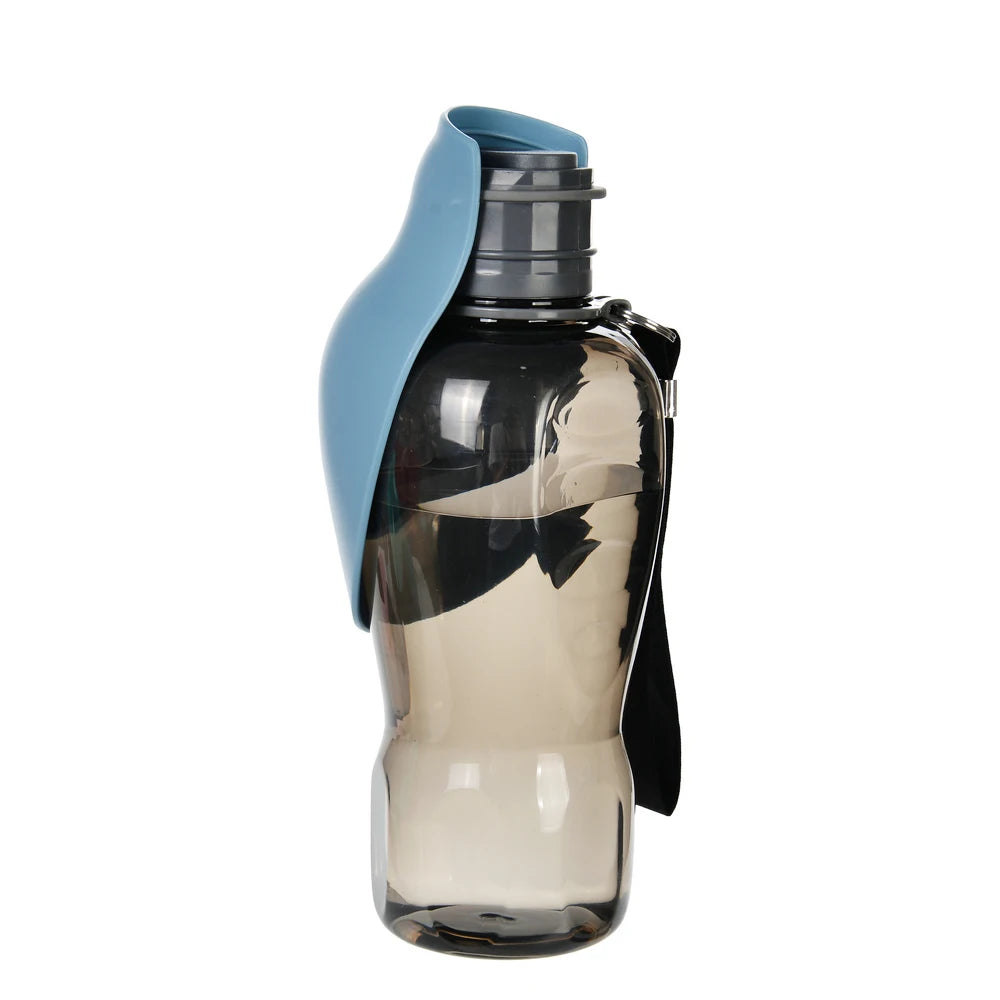 Bouteille d'eau portable pour chien