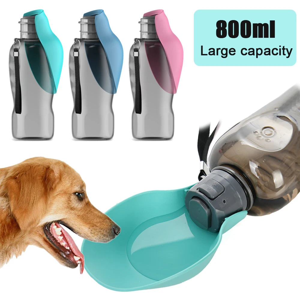 Bouteille d'eau portable pour chien