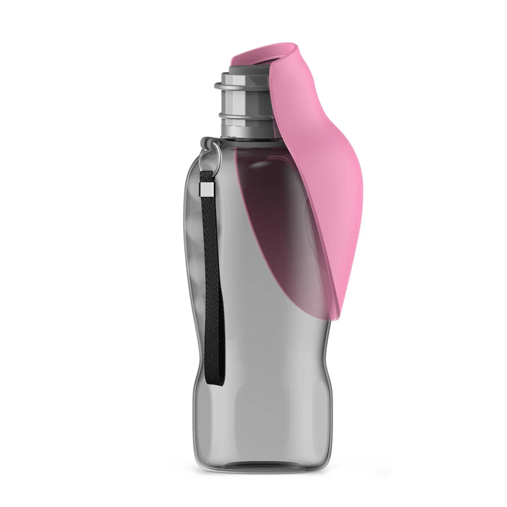 Bouteille d'eau portable pour chien