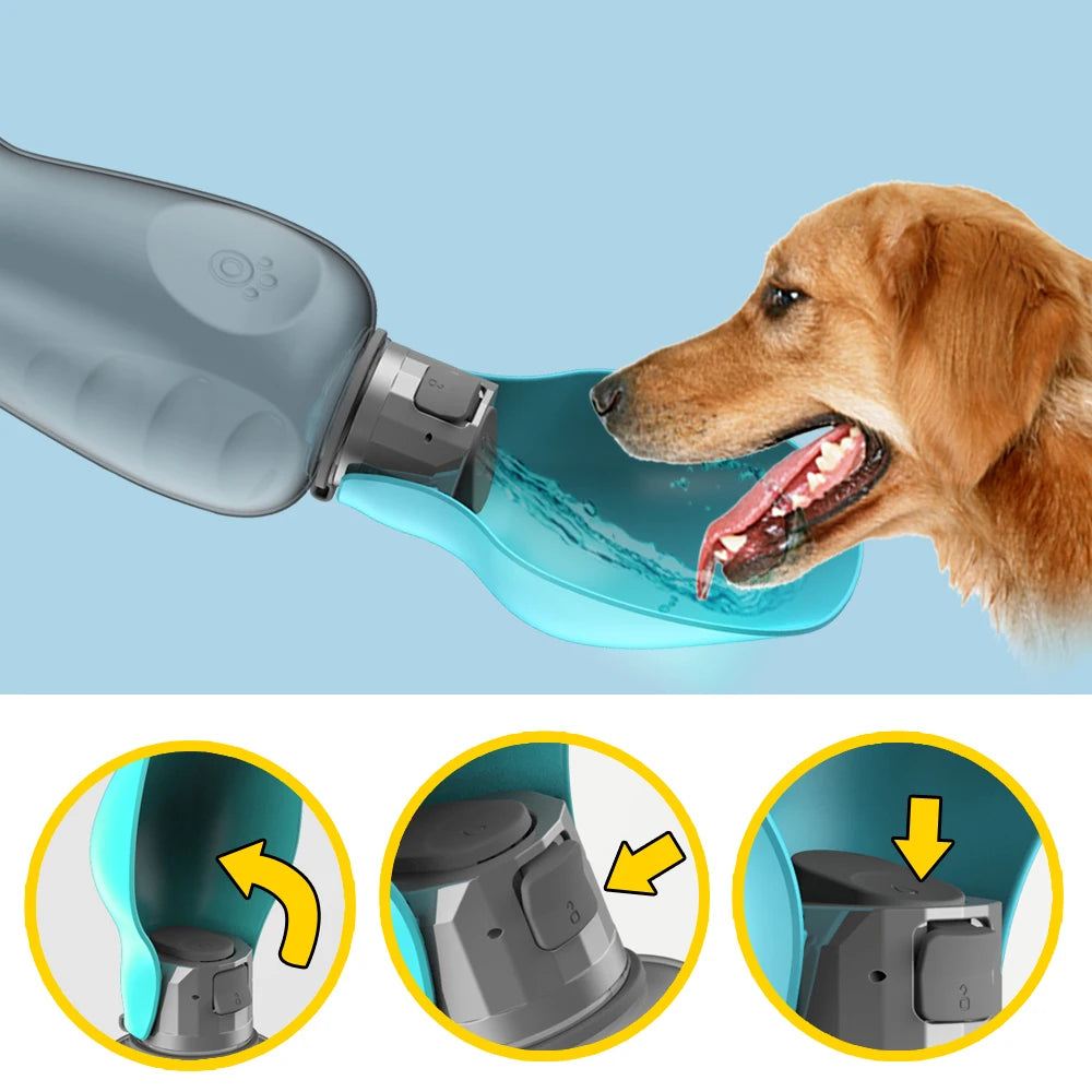 Bouteille d'eau portable pour chien