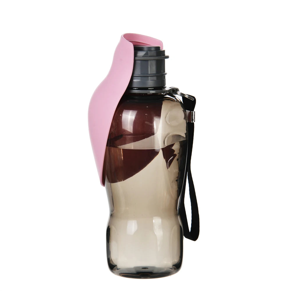 Bouteille d'eau portable pour chien