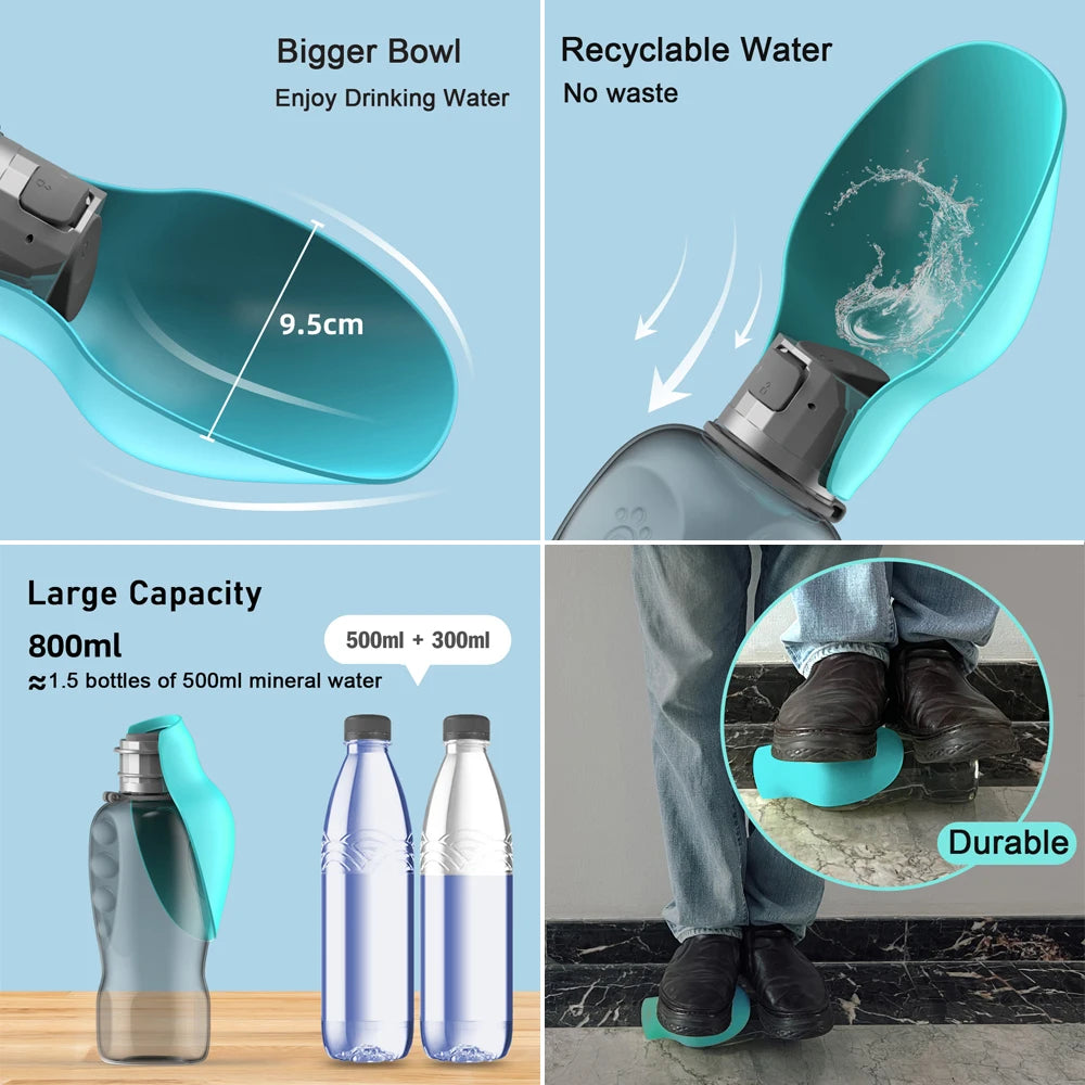 Bouteille d'eau portable pour chien