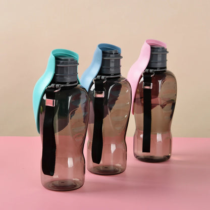 Bouteille d'eau portable pour chien